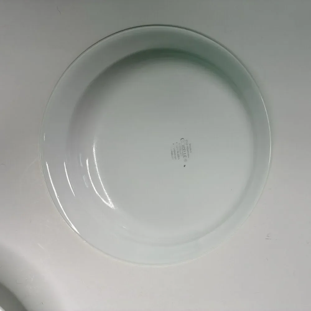 Corelle Apricot Grove Set of 4 Flat Rimmed Shallow Soup Salad Pasta Bowls 8.5